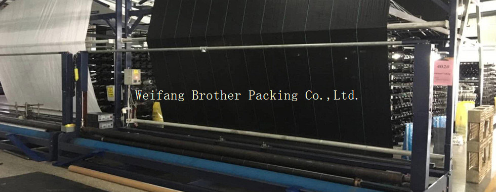 China best PP Woven Fabric Roll on sales