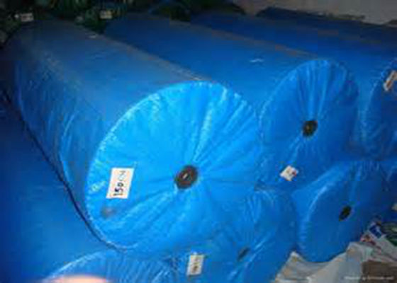 Moisture Proof PP Woven Fabric Roll Offset Printing With Custom Length