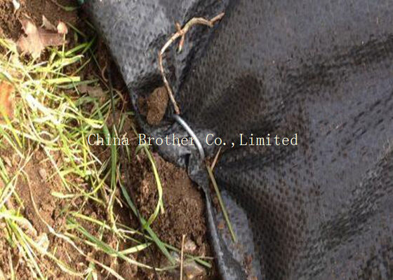 Polypropylene Plantex Ground Weed Control Fabric Moisture Proof 60gsm Black Color