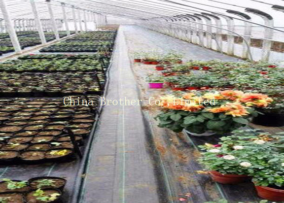 Disposable Polypropylene Ground Weed Control Fabric 3% UV Protection