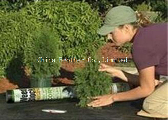 Customized 80gsm Black Weed Control Membrane PP Woven For Agriculture