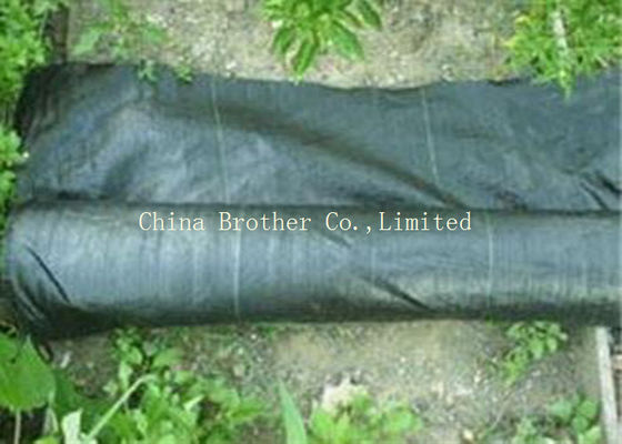 Disposable Polypropylene Ground Weed Control Fabric 3% UV Protection