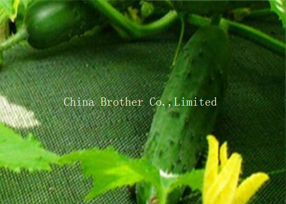 Anti UV Heavy Duty Weed Control Matting , Polypropylene Weed Control Fabric