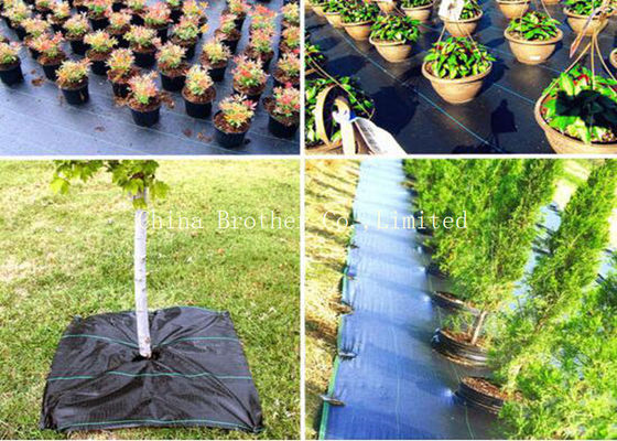 Anti UV Polypropylene Ground Weed Control Fabric Non Toxic Customized Size
