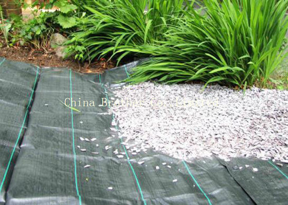 Black Polypropylene Terram Weed Control Fabric Anti - Aging With UV Protection