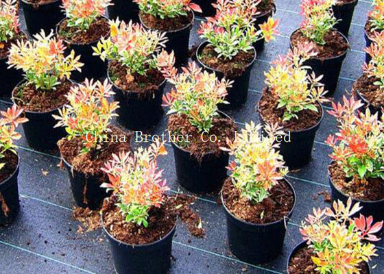 Vegetable Garden Weed Control Fabric , Polypropylene Woven Ground Weed Control Fabric
