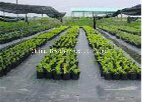 Vegetable Garden Weed Control Fabric , Polypropylene Woven Ground Weed Control Fabric