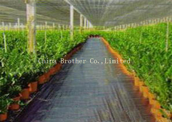 Anti UV High Density Agriculture Woven Landscape Geotextile Fabric