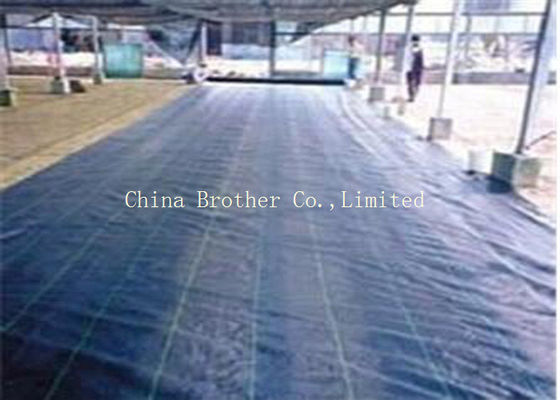 Agriculture PP Woven Ground Weed Control Fabric Heavy Duty Eco - Friendly