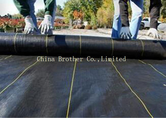 Black Garden Weed Control Fabric For Maintain Temperature To Benefit Healthy Growth Weed Control