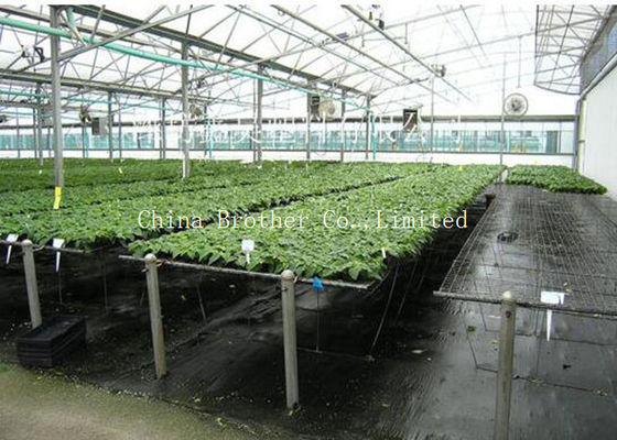 Environment PP Woven Fabric with Anti-UV Used for Agriculture and Gardening