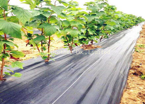 Environment PP Woven Fabric with Anti-UV Used for Agriculture and Gardening