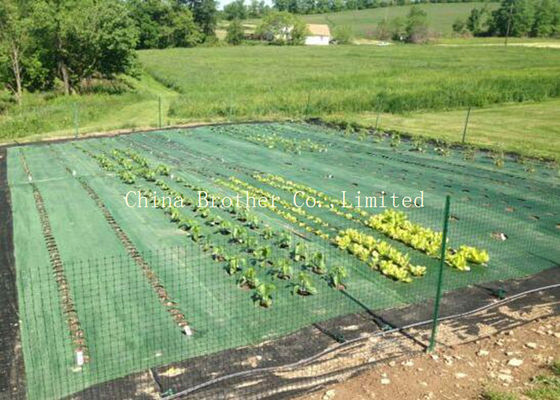 Black Air Permearble PP Woven Fabric Agriculture Cover / Ground Protection Mat