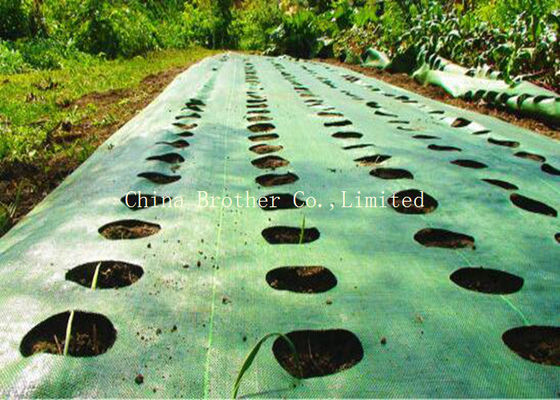 Polypropylene Garden Ground Weed Control Fabric For Agriculture Covering