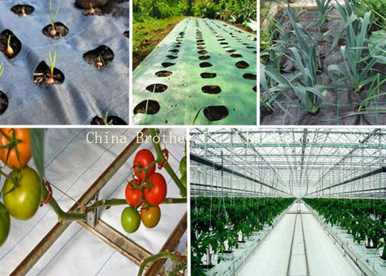 Durable Woven Pp Woven Ground Cover , Woven Polypropylene Landscape Fabric Plant Protection