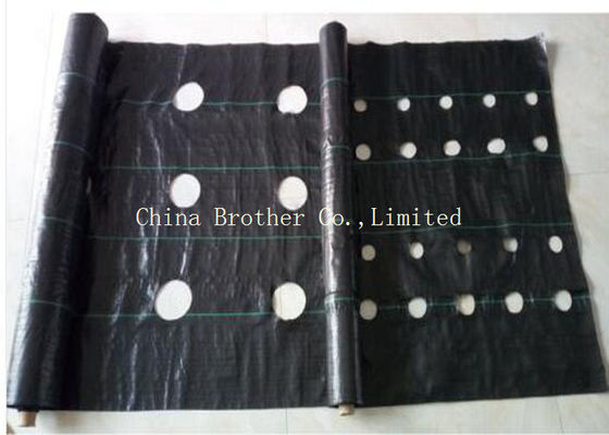 Polypropylene Garden Ground Weed Control Fabric For Agriculture Covering