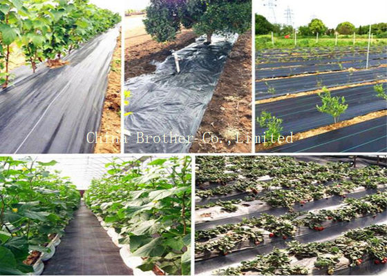 Polypropylene Woven Ground Weed Control Fabric Air Permeable Black Color
