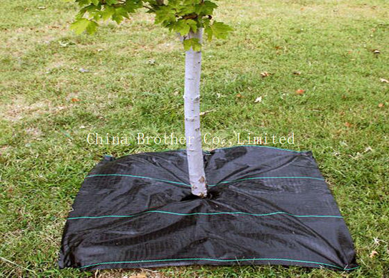 80gsm Non Woven Weed Control Fabric For Vegetables