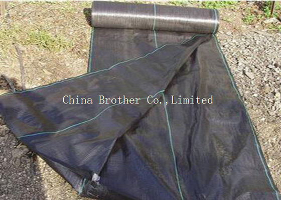 Anti UV Woven PP Ground Cover Fabric Black Color