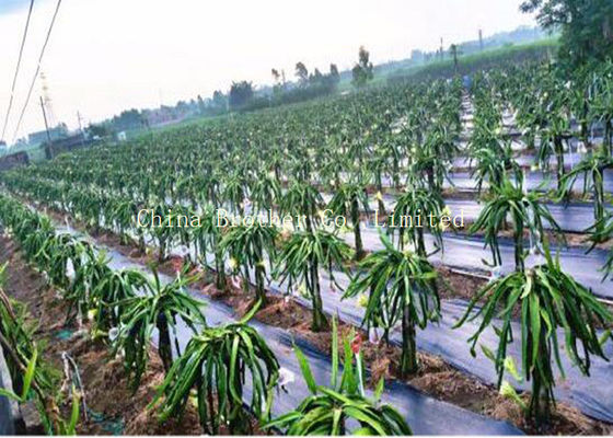 Polypropylene Woven Ground Weed Control Fabric Air Permeable Black Color