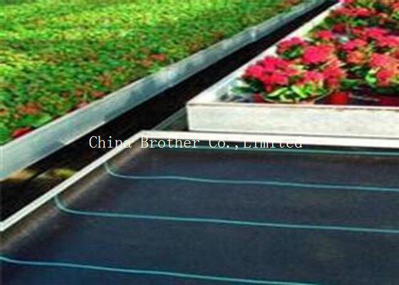 80gsm Non Woven Weed Control Fabric For Vegetables