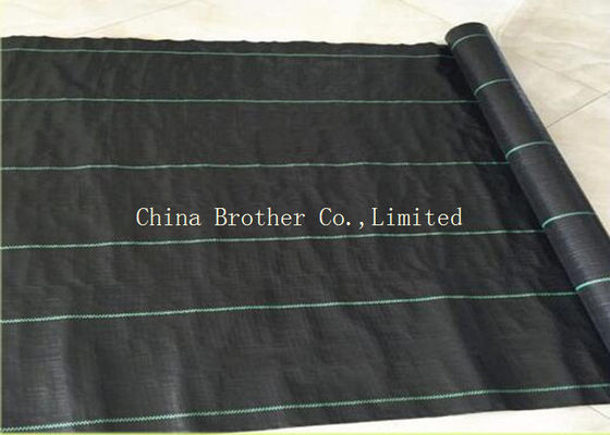 Agriculture HDPE / PP Woven Ground Cover Fabric In Roll 100gsm