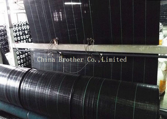 Agriculture HDPE / PP Woven Ground Cover Fabric In Roll 100gsm