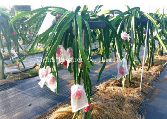 Anti UV Polypropylene Ground Weed Control Fabric Non Toxic Customized Size