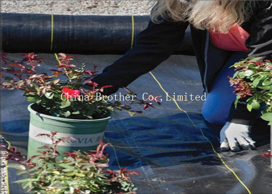 PE / PP Woven Ground Cover Fabric 150gsm , Weed Mat For Home Garden