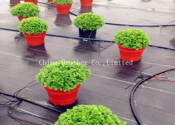 Durable Garden Ground Weed Control Fabric Farm Mulch Film Black Color Eco - Friendly