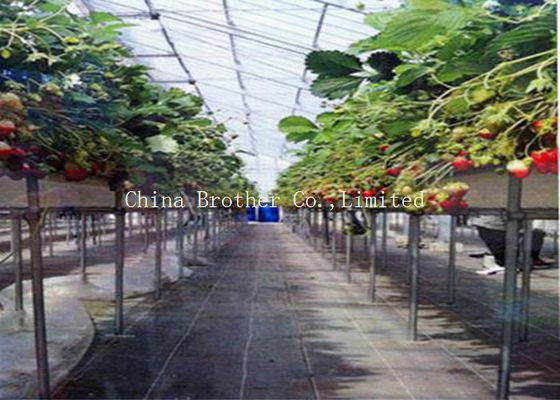 Landscape Polypropylene Woven Ground Cover Strong Tensile Resistance