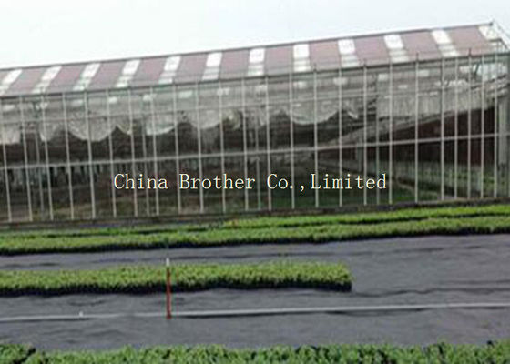 PE / PP Woven Ground Cover Fabric 150gsm , Weed Mat For Home Garden