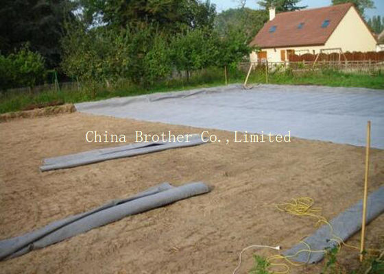 Anti UV Polypropylene Ground Weed Control Fabric Non Toxic Customized Size