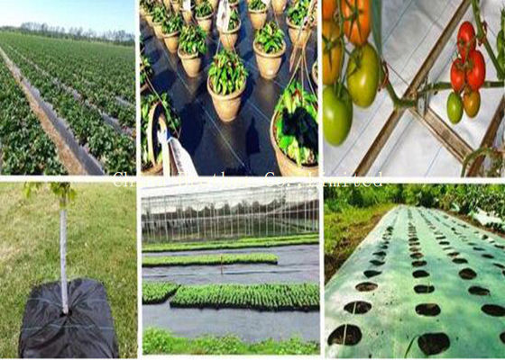 PE / PP Woven Ground Cover Fabric 150gsm , Weed Mat For Home Garden