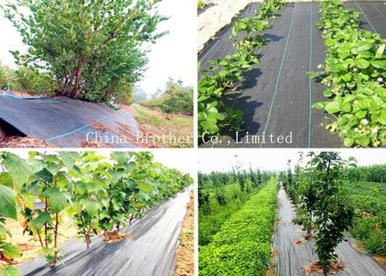 PE / PP Woven Ground Cover Fabric 150gsm , Weed Mat For Home Garden