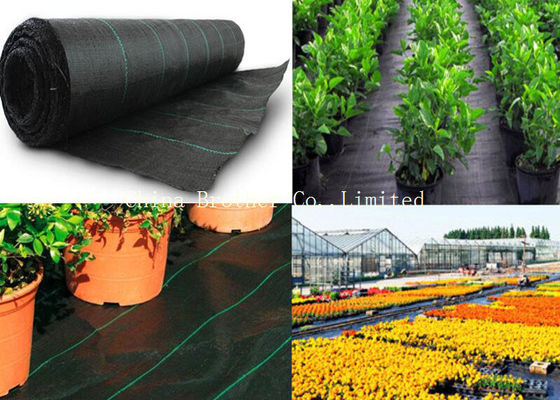 Eco Friendly Horticulture Vegetable Garden Weed Barrier Fabric Anti UV Packed In Polybag
