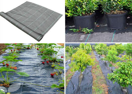 Anti-UV Weed Control Fabric with Long Working Life
