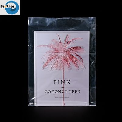 Customized Flat Bag Wholesale Food Packaging Bag Pouch Snack Package Bag