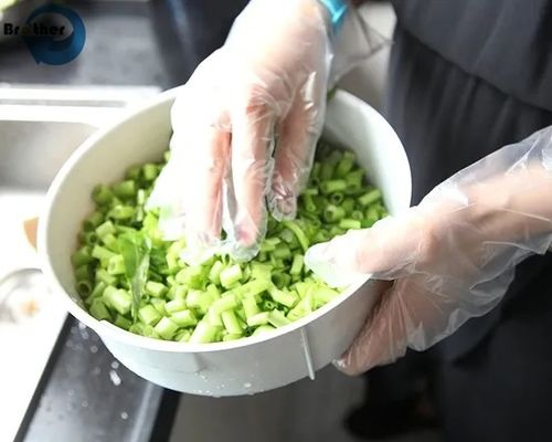 Citylife Moulded Disposable Plastic Gloves Multipurpose Hand Protection for Kitchen & Restaurant Food Service