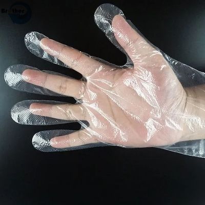 Wholesale Disposable HDPE Plastic Gloves for Food Packaging Transparent Film Thickened PE Gloves