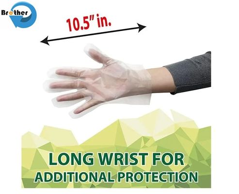 High Performance Household Transparent Disposable Plastic Sfor Food Handling and Cleaning Multipurpose