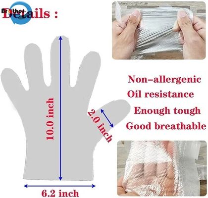Disposable Gloves HDPE Material Food Grade Thickened PE Film for Takeaway Crayfish Beauty Salon Manufactured Top Manufacturers