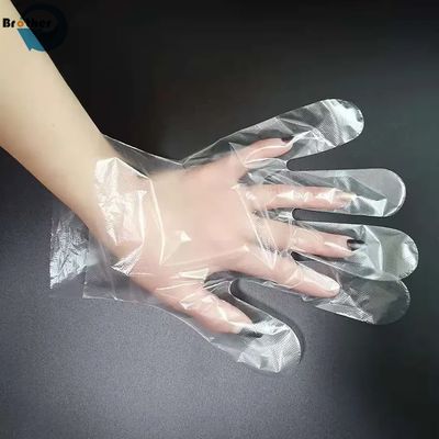 Disposable Plastic Gloves Disposable PE Plastic Gloves Transparent LDPE Food Clear Bag