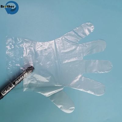 Disposable Plastic Gloves Disposable PE Plastic Gloves Transparent LDPE Food Clear Bag