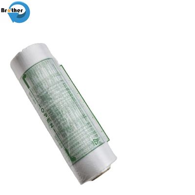 Wholesale Market Price Biodegradable Produce Bag for Supermarket Fruit Food