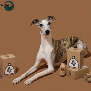 Dispenser Handle Dog Poop Bag Manufacturer Wholesale Biodegradable Compostable Scented Pet Waste Bag