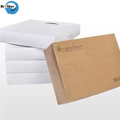 Disposable Plastic Clear High Density Pop-up Deli Food Packaging Sheet for Food Service Applications, Clean, Hygienic