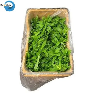 5 15 30 55 Gallon 15 30 100 200 Liter LDPE Transparent Round Bottom Plastic Drum Liners Bags