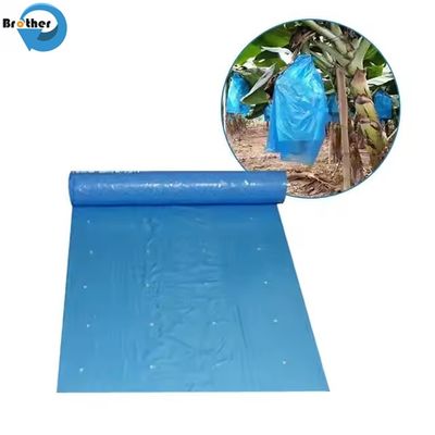 Banana Plastic Bag for Fruit Growing Protection Agricultural Plastic Product Exported to Middle America