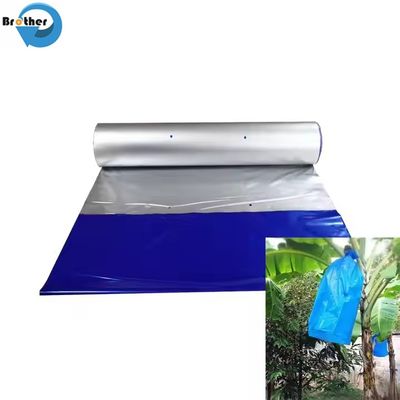 Banana Plastic Bag for Fruit Growing Protection Agricultural Plastic Product Exported to Middle America